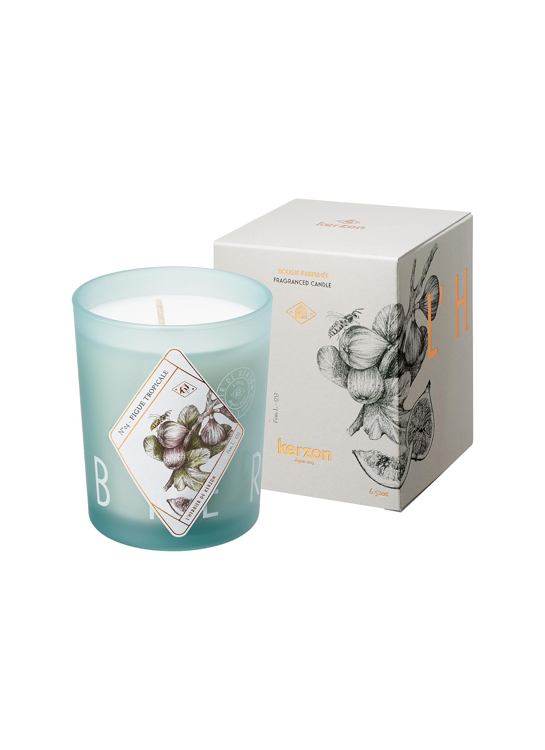 Figue tropicale scented candle 184g