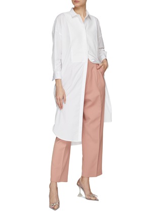 Front View - Click To Enlarge - EQUIL - ‘Sirius’ Pleated Cropped Pants
