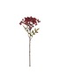 Main View - Click To Enlarge - SHISHI - BERRY PICK ORNAMENT - BURGUNDY