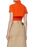 Back View - Click To Enlarge - MERYLL ROGGE - MOCK NECK SHORT SLEEVE CROPPED KNITTED SWEATER