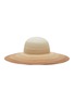Main View - Click To Enlarge - EUGENIA KIM - ‘BUNNY’ WIDE BRIM GRADIENT SUN HAT