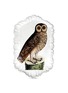 Main View - Click To Enlarge - ASTIER DE VILLATTE - x John Derian owl platter