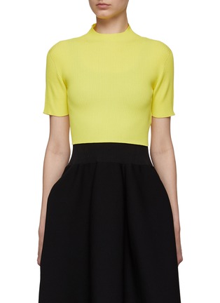 Main View - Click To Enlarge - CFCL - ‘Portrait’ Mock Neck Ribbed Cropped Top
