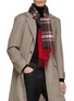 Figure View - Click To Enlarge - JOHNSTONS OF ELGIN - TRADITIONAL REVERSIBLE FRINGED CASHMERE SCARF