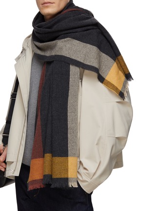 Figure View - Click To Enlarge - JOHNSTONS OF ELGIN - Raw Edge Border Detail Cashmere Stole