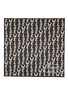 Detail View - Click To Enlarge - LOEWE - All Over Graffiti Logo Silk Scarf