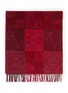 Detail View - Click To Enlarge - LOEWE - Anagram Check Wool Cashmere Blend Fringed Scarf