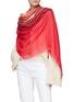 Figure View - Click To Enlarge - FALIERO SARTI - ‘New Amante’ Ombré Knit Fringed Scarf