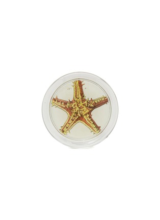 Main View - Click To Enlarge - JOHN DERIAN COMPANY INC. - Coaster — Gold Starfish