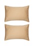 Main View - Click To Enlarge - RIVOLTA CARMIGNANI  - Crystal Sartorial Pillowcase Set of 2 — Camoscio