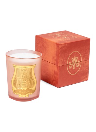Detail View - Click To Enlarge - CIRE TRUDON - Tuileries Scented Candle 800g