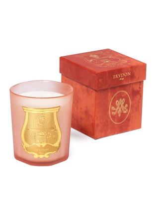 Detail View - Click To Enlarge - TRUDON - Tuileries Scented Candle 270g