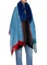 Front View - Click To Enlarge - VINTAGE SHADES - Fur Collar Cashmere Stole