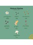 Detail View - Click To Enlarge - MAISON MATINE - Into The Wild Eau De Parfum 50ml