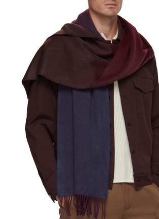 Figure View - Click To Enlarge - JOHNSTONS OF ELGIN - Ombré Cashmere Scarf