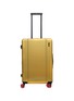 Main View - Click To Enlarge - FLOYD - Check-In Luggage — Floyd Gold