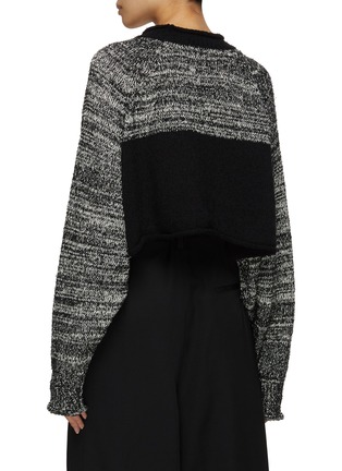 Back View - Click To Enlarge - Y'S - Cropped Raglan Sleeve Sweater