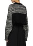 Back View - Click To Enlarge - Y'S - Cropped Raglan Sleeve Sweater