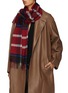 Figure View - Click To Enlarge - JOHNSTONS OF ELGIN - Sport Check Scarf
