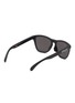 Figure View - Click To Enlarge - OAKLEY - Frogskins Range Prizm Acetate Round Sunglasses