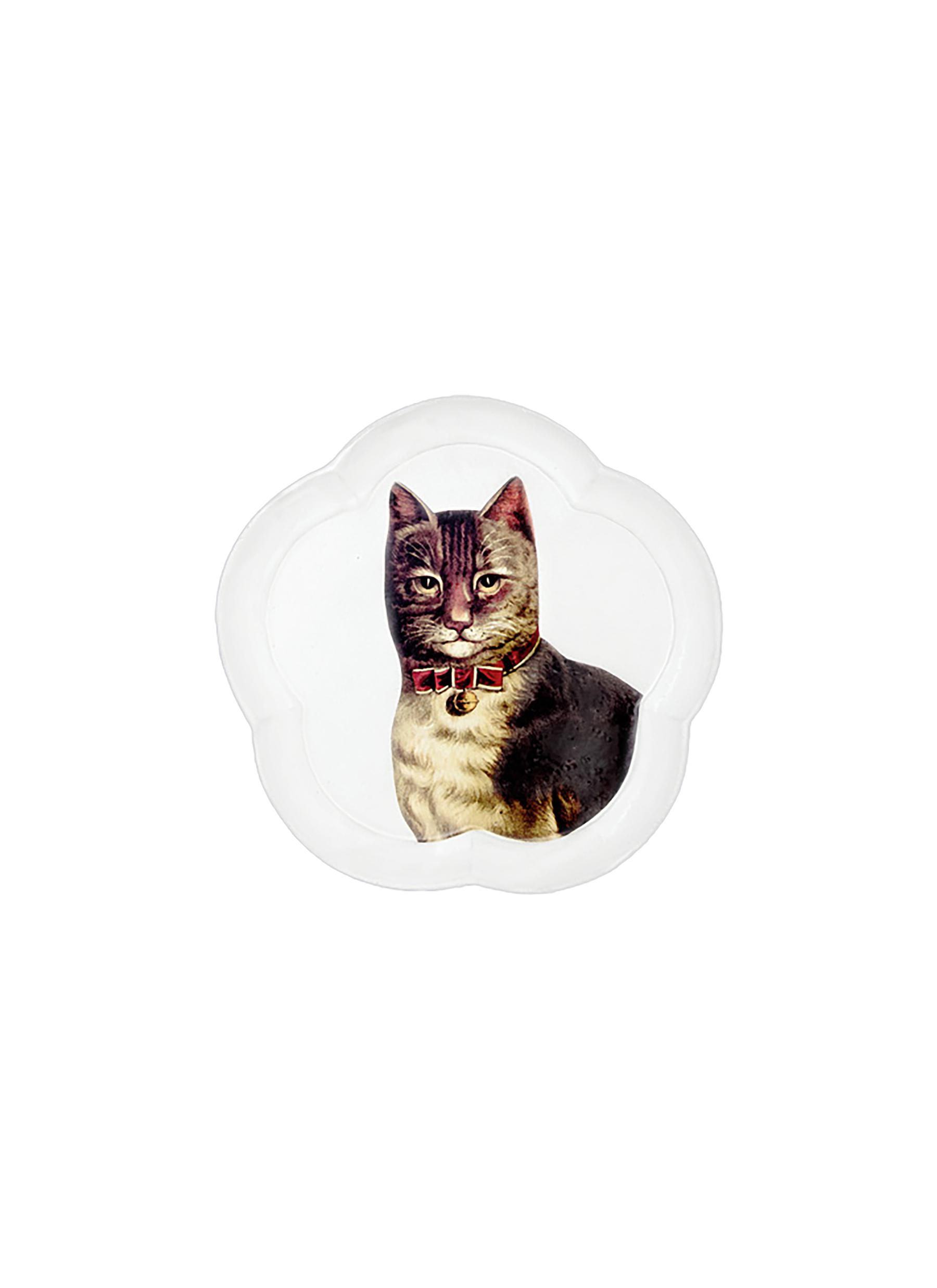 Small Cat Dish – abc carpet & home