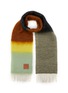 Main View - Click To Enlarge - LOEWE - Gradient Stripe Mohair Wool Scarf