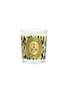 Main View - Click To Enlarge - DIPTYQUE - Limited Edition Sapin Small Candle 70g