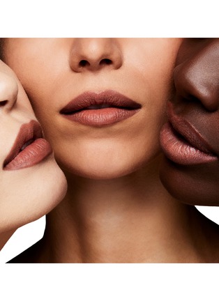 Detail View - Click To Enlarge - TOM FORD - Love Collection Lip Colour Matte Lipstick — 100