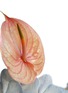 Detail View - Click To Enlarge - ELLERMANN FLOWER BOUTIQUE - Jellybean — Small
