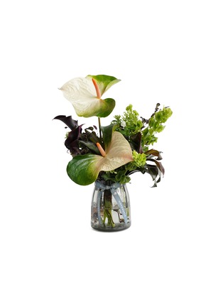 Main View - Click To Enlarge - ELLERMANN FLOWER BOUTIQUE - Green Oasis in a Vase