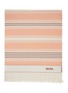 Main View - Click To Enlarge - ZEGNA - Stripes Cotton Beach Towel