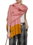 Figure View - Click To Enlarge - JANAVI - Phototaxis Merino Wool Scarf