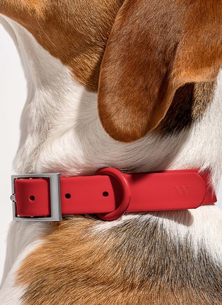  - WILD ONE - Large Dog Collar — Strawberry