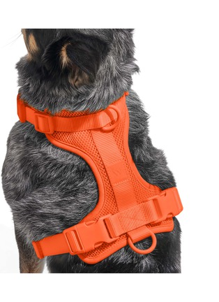  - WILD ONE - Medium Dog Harness — Blaze