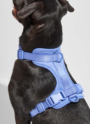  - WILD ONE - Medium Dog Harness — Moonstone