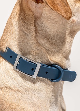 Front View - Click To Enlarge - WILD ONE - Small Dog Collar — Dark Blue