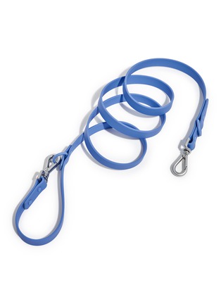 Main View - Click To Enlarge - WILD ONE - Small Dog Leash — Moonstone