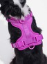  - WILD ONE - Small Dog Harness — Orchid