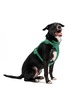 Front View - Click To Enlarge - WILD ONE - Large Dog Harness — Spruce