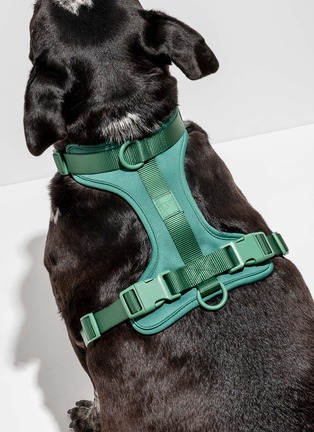  - WILD ONE - Large Dog Harness — Spruce