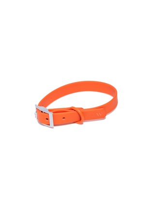 Main View - Click To Enlarge - WILD ONE - Medium Dog Collar — Blaze