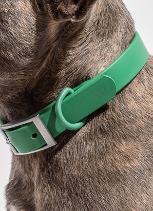  - WILD ONE - Large Dog Collar — Spruce