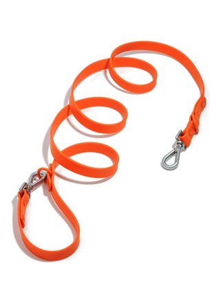 Main View - Click To Enlarge - WILD ONE - Standard Dog Leash — Blaze