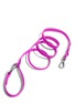 Main View - Click To Enlarge - WILD ONE - Standard Dog Leash — Orchid