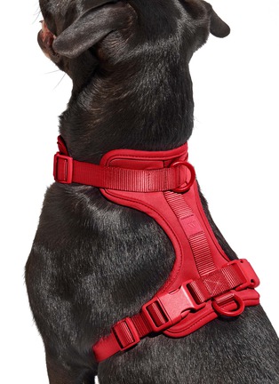  - WILD ONE - Medium Dog Harness — Strawberry