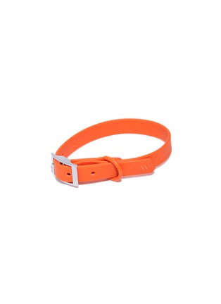 Main View - Click To Enlarge - WILD ONE - Small Dog Collar — Blaze