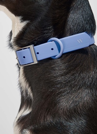 - WILD ONE - Medium Dog Collar — Moonstone