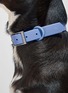  - WILD ONE - Medium Dog Collar — Moonstone