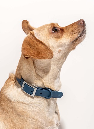 Detail View - Click To Enlarge - WILD ONE - Large Dog Collar — Dark Blue