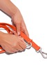  - WILD ONE - Small Dog Leash — Blaze